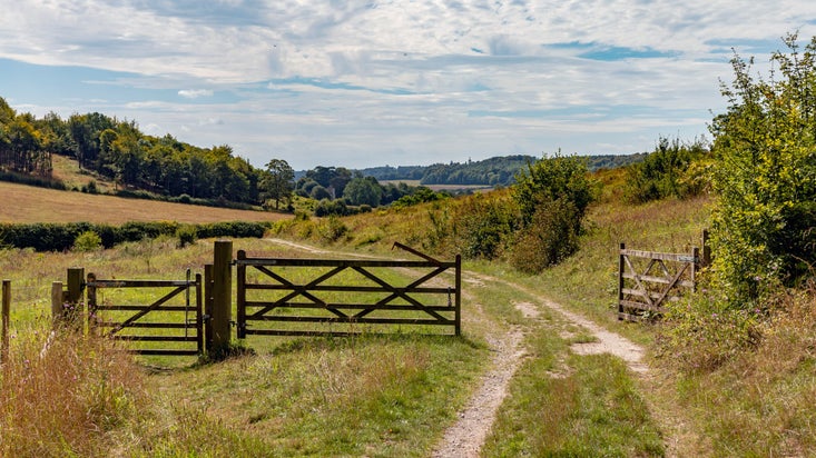 Track through gates at Bradenham Estate during the summer